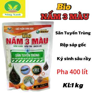 Nấm 3 màu (1kg) săn tuyến trùngrệp sáp gốcký sinh sâu rầy