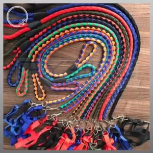 Pet Adjustable Plain Harness with Shiny Leash: A Comprehensive Guide