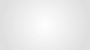 Ecovet Pet Food Supplement Powder - Enhances Nutrient Absorption Boosts Immunity and Supports Pet Health