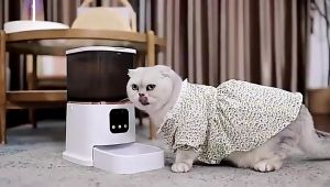 6L Automatic Pet Feeder Cat Dog Food Dispenser WIFI HD Camera Feeder Smart Voice Recorder with APP Control Timer Feeding