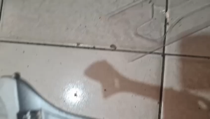 Kunci Inggris Gagang Besi 8” 10” 12” 15” Kunci Inggris Kunci Bago Crv Stainless Steel Adjustable Wrench