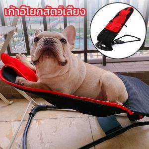 【CANDIES.】COD เปลสุนัขโยกเยกหมา เก้าอี้โยกสัตว์เลี้ยง ที่นอนเเมว ที่นอนสัตว์เลี้ยง ปรับระดับได้