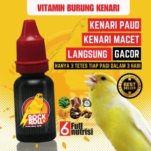 vitamin pengacor kenari muda jantan 3 hari gacor