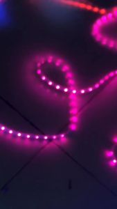 Paket Lampu LED STRIP SMD 5050 220V SELANG 11m 12m 13m 14m 15m tinggal colok