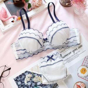 About Vegetarian Fashion Minimalist Sweet Mesh Embroider Japanese Style Girls Underwear with Steel Ring Push up plus Size Bra Set
