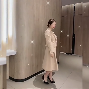 Falimottype)Size 35-40 Womens Fashion School Student Thin Heel Shoes French Wedding Shoes Elegant Pointed High Heels