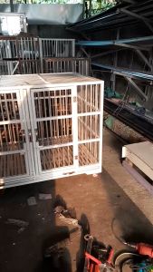 kandang anjing alumunium dengan tray