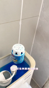 Toilet Automatic Closet Cleaner Tablet Pembersih Toilet Pembersih WC 350g