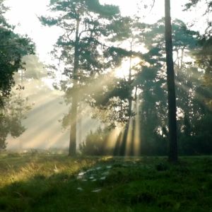 KOKULU PARFUM - CITRUS SERENADE 50 ml Extrait de Parfum