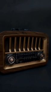 STARGOLD Portable Multifunction Radio FM/AM/SW Radio Powerful Speaker USB/TF Music Player Bluetooth TWS Connect 2000mAh Big Battery SG-GR2043