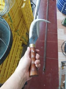 Dao rửa dừa nhíp xe 36cm