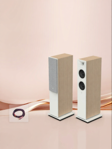 JBL | Wooden Hi-Fi Floor Standing Speaker