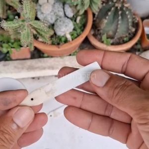 ป้ายแขวนชื่อต้นไม้ ป้ายธนู กลาง 1ซอง บรรจุ 100 ชิ้น