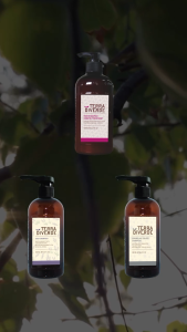 TERRA DIVERDE Daily Shampoo | Shampoo Anti bakteri & Anti Rontok