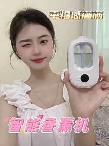 [SG STOCKS] Hotel Scent Automatic Air Diffuser Wall Mount Aroma Air Freshener Toilet & Room Mist Spray / Home Spray Diffuser