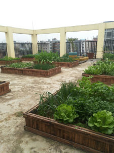 Garden Plantting Box Wooden Roof Balcony Vegetable Basin Rectangle No Paint Carbonization Anti-corrosion Rural Style Flower Pot