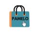 PAMELO22