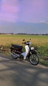 SEAMETAL Keranjang Depan Motor Bahan Logam Untuk Honda Astrea Grand Dream Yamaha Mate Suzuki Rc Dll