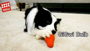 👍(SG Authorized) GiGwi Leakage-Proof Enrichment Treat Dispenser Bulb S/M Size Gift Dog Puppy Toy ready stock fast mail