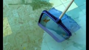 Swimming Pool Cleaning Deep Water Net Bag Head Ordinary Shallow Water Leaf Network Skimmer Pond Leaf Tool Salvage Net