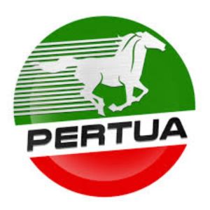 PERTUA Powertec Synthetic Performance 4T Motorcycle Engine Oil SAE 15W/40 1 Liter (Bundle of 2)