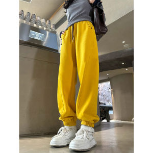 Thickened Fleece Loose Casual Wide Leg Pants Women High Waist Trousers Autumn Winter Fashionable All-Match High Waist Splicing Long Pants