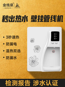 Home Pure Water Machine Wall-Mounted Drinking Water Heater Anti-Dry Burning Pipeline Machine Special Purifier for Household Use