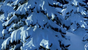 🎄ผ้าทอภูมิทัศน์ ผ้าพื้นหลัง ตกแต่งคริสต์มาส ขนาด 180*110cm ผ้าแขวนตกแต่งบ้าน ร้าน Christmas สวยงาม มีหลายลายให้เลือก