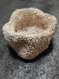 DIY Ant Anemone Nest Coral Tank Sea Water Nipple Pot Multi-Pore Baked Nipple Nest Aquarium Decoration Landscape Material