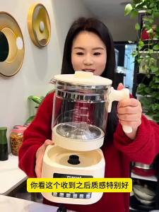 Multi-functional Electric Kettle with Tea Brewing and Temperature Control