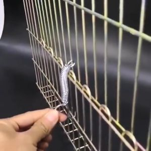 สปริงเกี่ยวกรงนก สปริงล็อคประตูกรงนก สปริงล็อคกรงไก่ ตัวล็อคกรงสัตว์ สปริงเกี่ยวถาด ตัวล็อคกรงกระต่าย ตัวล็อคกรงไก่ 10ตัว/แพ็ค