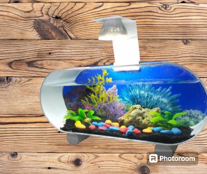 Aquarium mini cantik buat ikan kecil dll | Lazada Indonesia