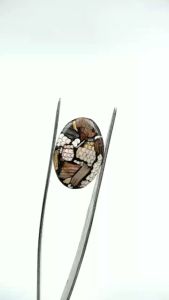 Batu Akik Python Motif Sisik Ular: Keindahan & Keberuntungan