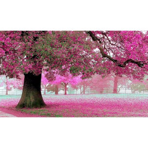 Frameless Painting By Numbers Sakura Scenery Picture By Numbers Acrylic Paint on Canvas Home Decors Artcraft Diy