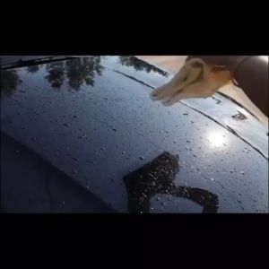 BIG MOM Lap Kain Kanebo 43 x 32 CM Dengan Tempat Penyimpanan Kanebo