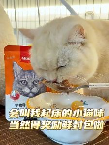 [Combo 100] Pate Mèo Wanpy Gói 80g Cho Mèo Con Mèo Lớn Mèo Kén Ăn Pate Cho Mèo Wanpy Tổng Hợp 7 Vị