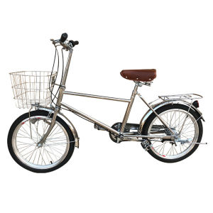 Internal Gear Retro Commuter Bicycle for Adults