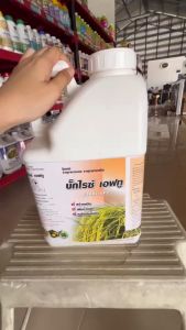 ปุ๋ยน้ำ #อะมิโนข้าว ( บั๊คไลซ์ F2 ) ขนาด 5  ลิตร สูตรรับรวง บำรุงรวง เมล็ดใหญ่ #แอลเจอะโกร