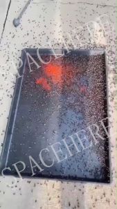 25-Pack Safe Insect Powder Trap - Effective Fly & Mosquito Killer Powder | Family & Garden Pest Control | Non-Toxic Fly Killer