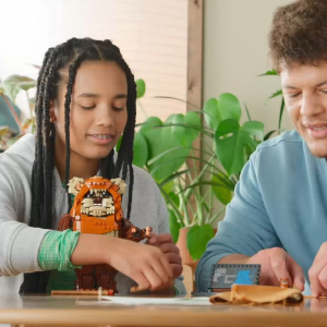 LEGO Star Wars 75430 Wicket the Ewok (1010 Pieces)