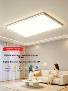 smeou | Modern Minimalist Ceiling Light Whole House Package