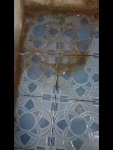 DNS Toilet Cleaner Pembersih Noda Kerak Membandel Kamar Mandi 1 Liter