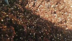 ดินปลูกกุหลาบ สูตรสำหรับปลูกดอกไม้ กระสอบใหญ่ ค่าส่งถูก premium Flower สำหรับดอกไม้ ทุกชนิด