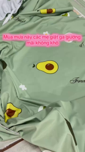 Ga Chống Thấm Cao Cấp PT Mẫu Gấu Nâu