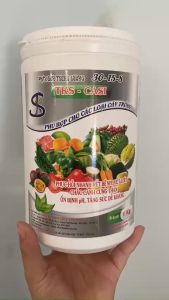 Phân Bón Trung Lượng - TKS CASI - Chắc Thân Chống Đỗ Ngã Ổn Định pH - Hộp 1kg