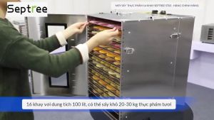 Máy sấy thực phẩm chuyên nghiệp dung tích 100 lít 16 khay thương hiệu Mỹ cao cấp Septree ST-02 - Hàng nhập khẩu bảo hành 12 tháng