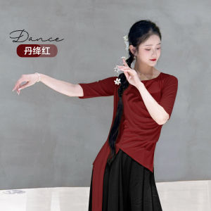 Classical Dance Gown Short Sleeve Summer Dance Top Womens Floral Drifting Mesh Dance Body Art Exam Practice Uniform