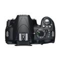 Kamera DSLR Nikon D3100 Red. 