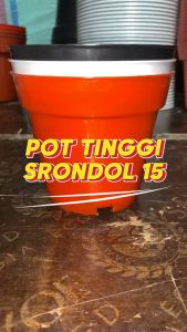 Rajaindobekasi Pot Tinggi Srondol 15 Bata - Pot Tinggi Usa Eiffel Effiel 18 20 25 Lusinan Pot Tinggi Tirus 15 18 20 30 35 40 50 Cm Paket murah isi 1 lusin pot bunga plastik lusinan pot tanaman Pot Bibit Besar Mini Kecil Pot Srondol 15