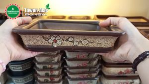 Pot Bonsai Keramik Segi Empat Persegi Panjang Size M